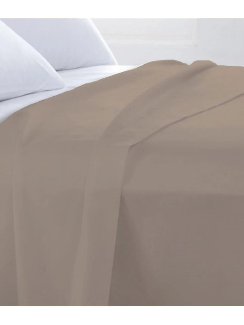 Future Home Drap plat en coton 57 fils uni gris galet Gris taupe
