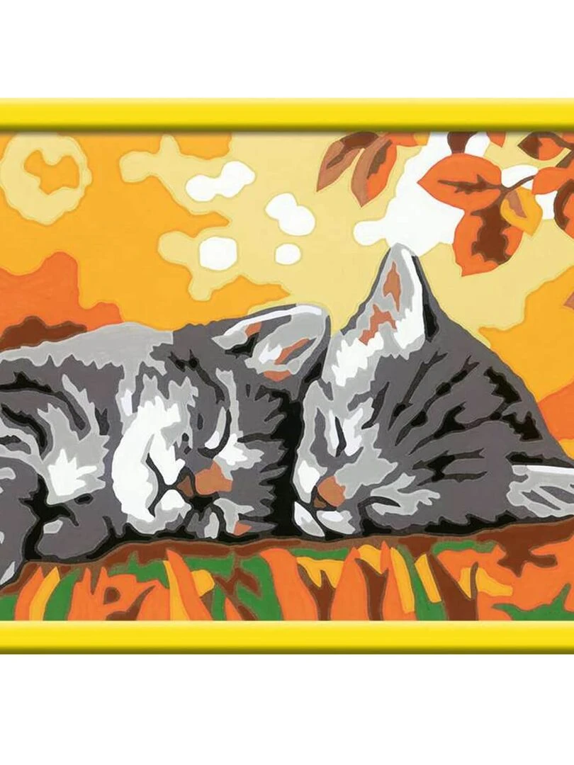 Peinture au numéro : Numéro d'Art Petit Format : Deux chatons couchés N/A