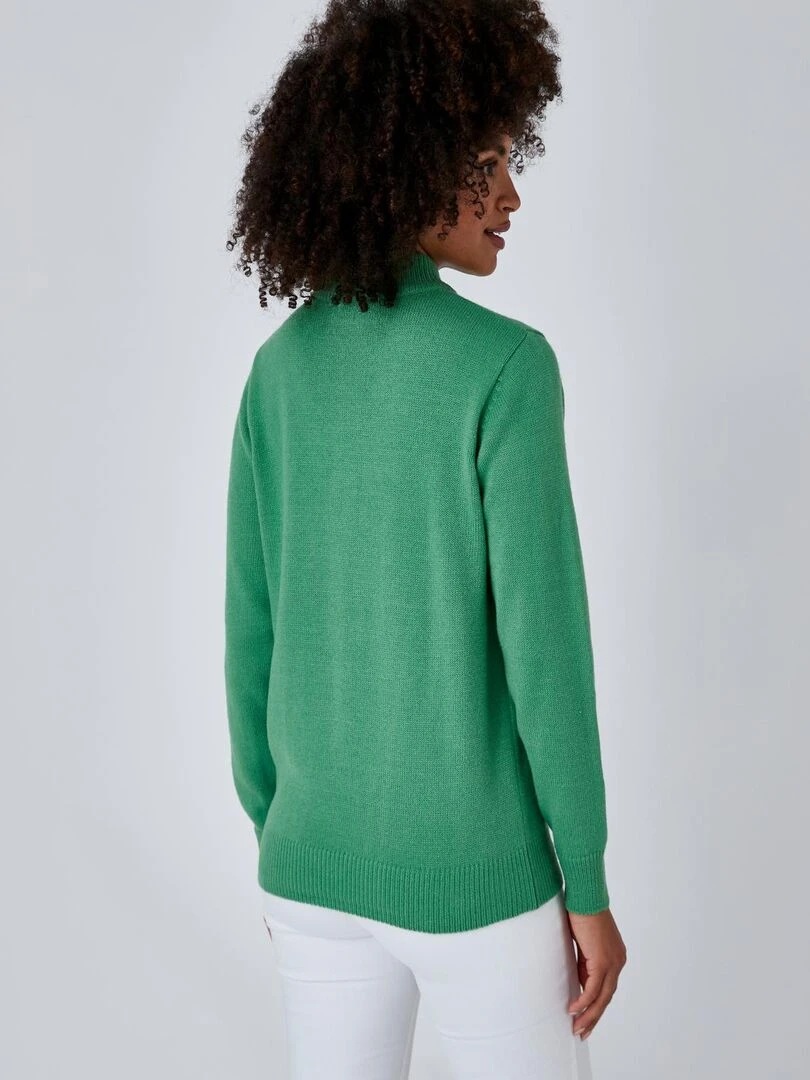 Pull col montant boutonné   Damart   Vert