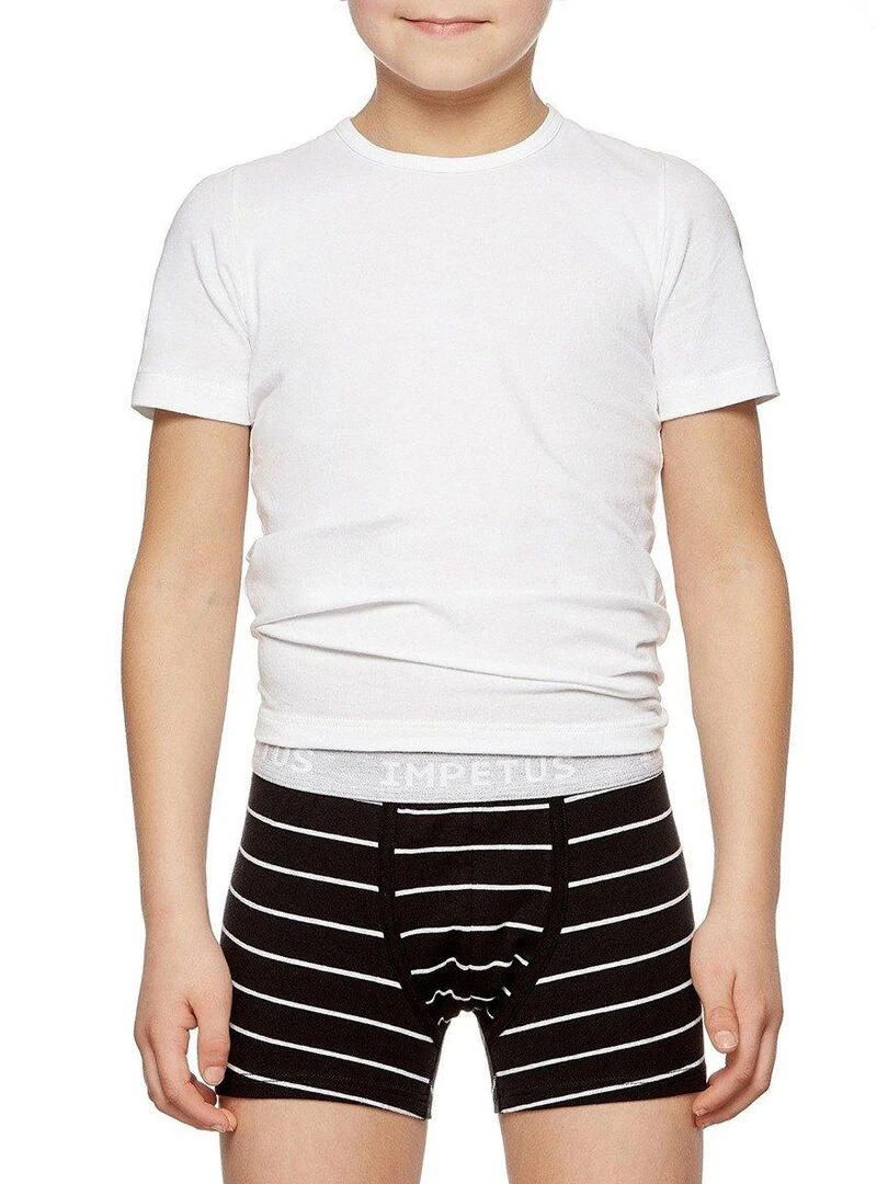 Pack de 2 boxers en coton bio Gris