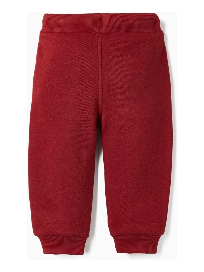 Pantalon de sport molletonné pour bébé garçon 'Skate it Out' Skater's’ Dictionary Rouge foncé