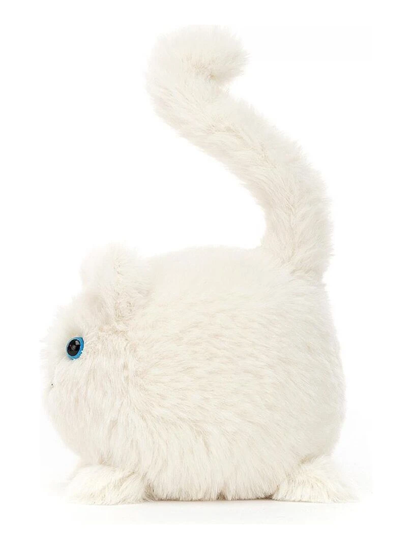 Kitten Caboodle Cream   Blanc