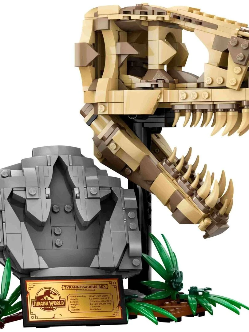 Jurassic World Les fossiles de dinosaures : le crâne du T. rex   N/A