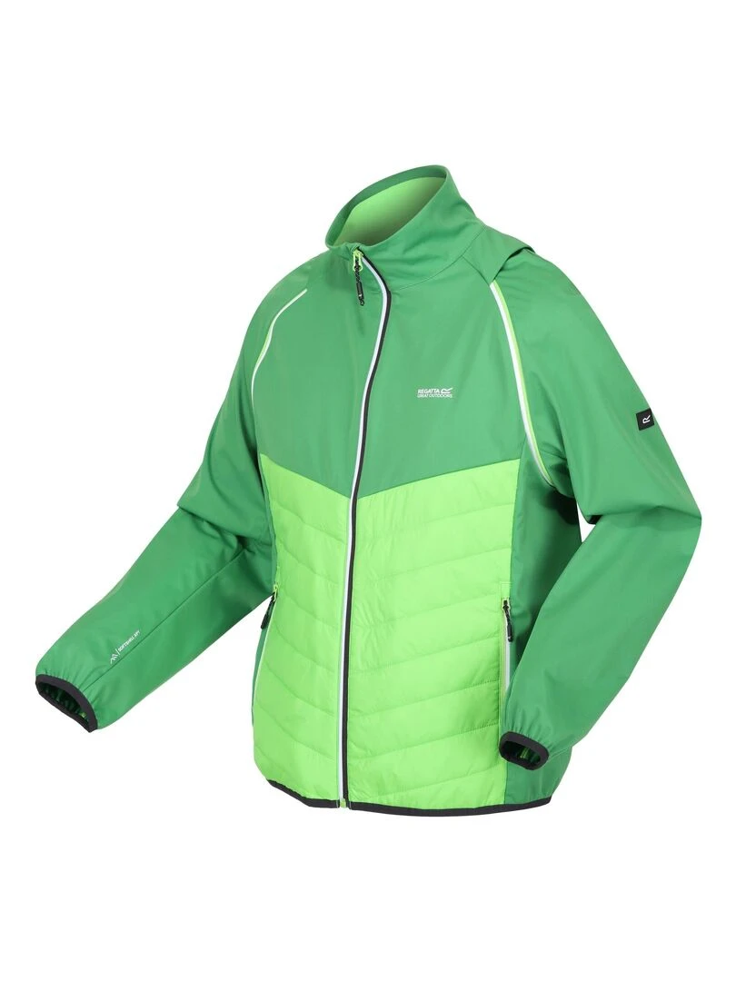 Regatta   Veste softshell STEREN HYBRID   Vert foncé