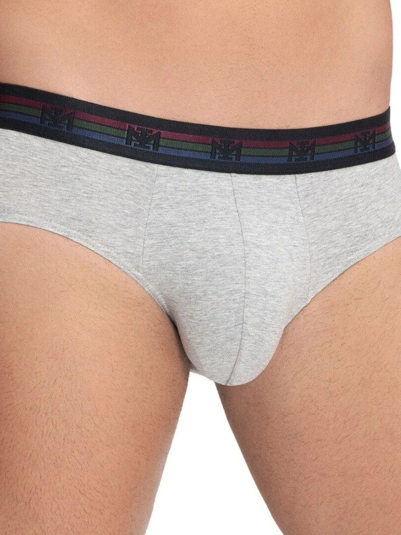 Lot de 2 slips en coton Haruto   Gris