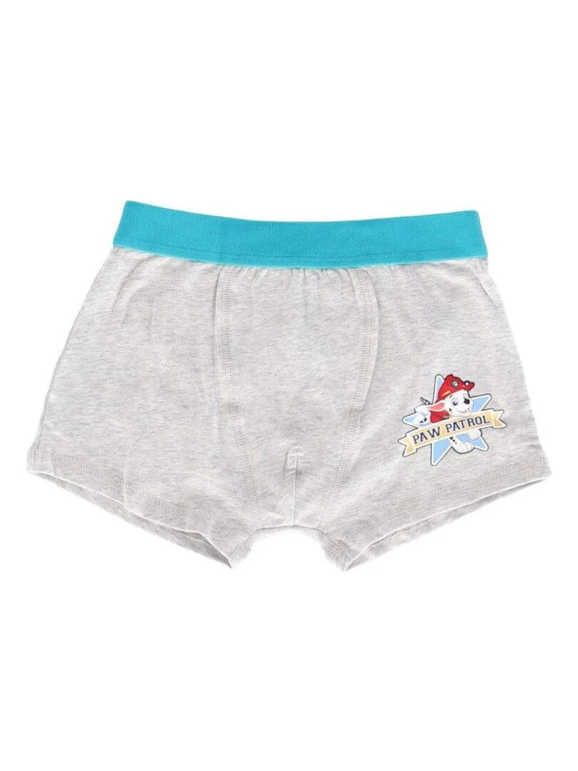 Lot de 5 boxers Pat Patrouille 8/9 ans   Garçon   95% Coton/5% Elasthanne   Bleu