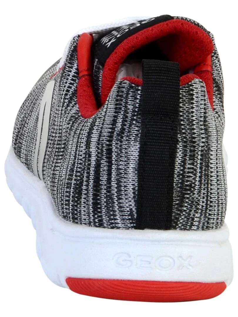 Basket Geox Enafant J Xunday B.L   Gris