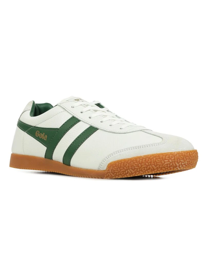 Baskets Gola Harrier Leather Blanc Vert