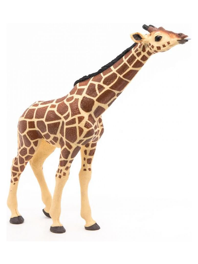 50236 Girafe Tête Levée Savane   N/A