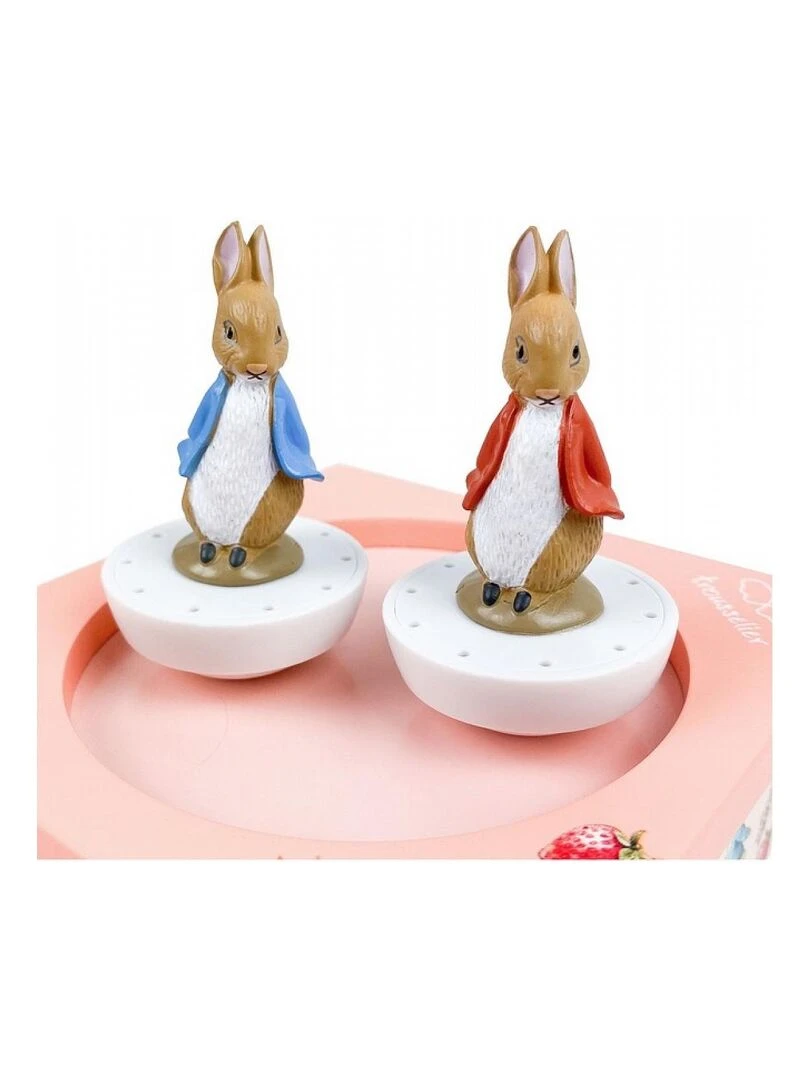 Boîte à musique magnétique Fraises Pierre Lapin   N/A