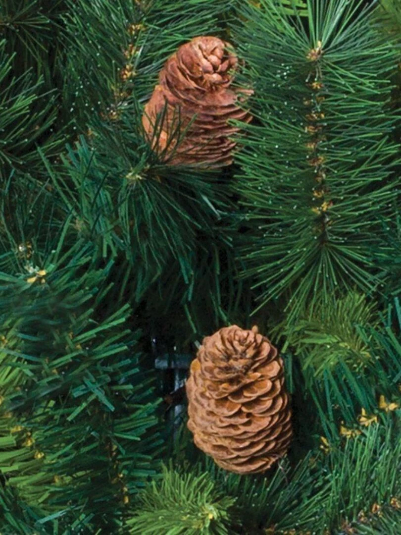 Sapin de Noël Royal Majestic 150 cm Vert
