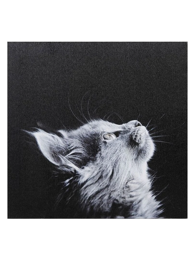Ensemble de 4 tableaux sur toile imprimée 28x28 cm Funny Gris