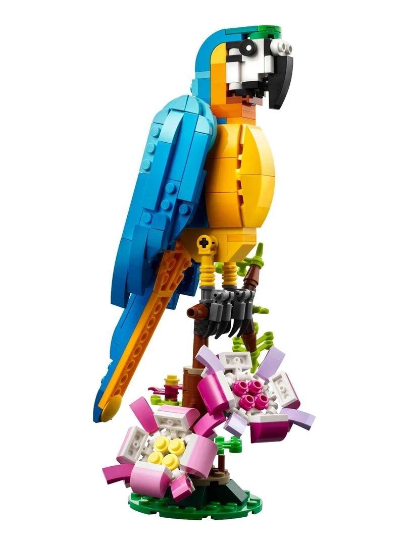 31136  Le perroquet exotique   N/A