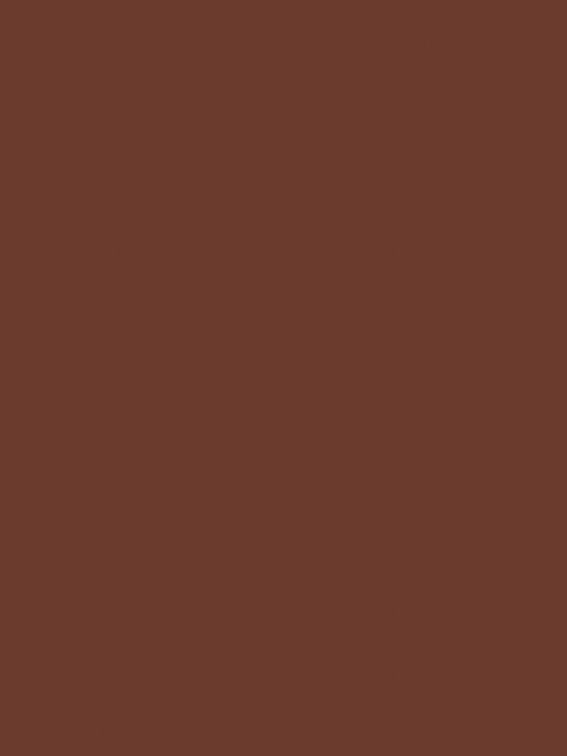 Peinture acrylique opaque mate Brun 45 ml N/A