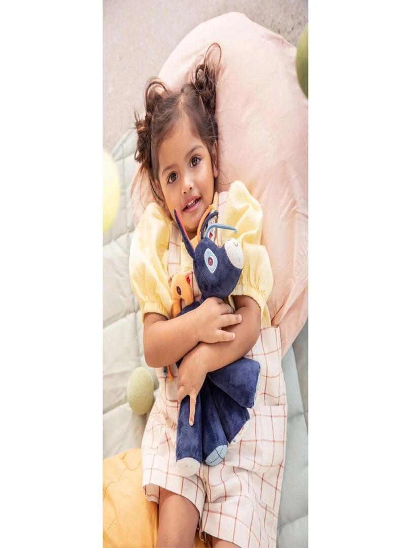 IGNACE AU GALOP ANE SONORE   Bleu