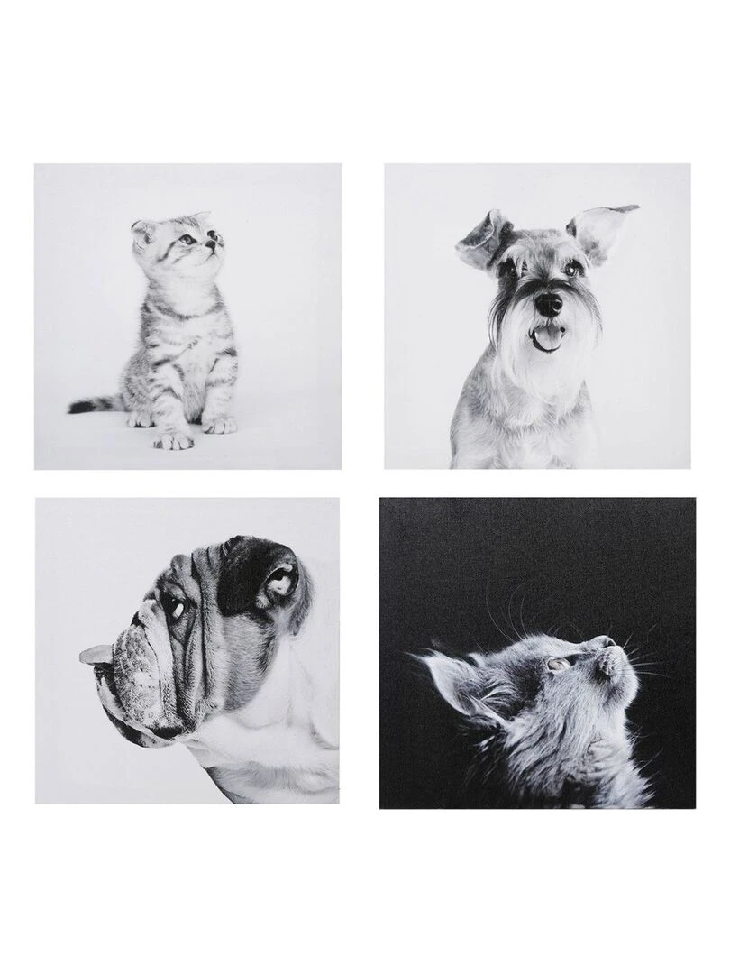 Ensemble de 4 tableaux sur toile imprimée 28x28 cm Funny Gris