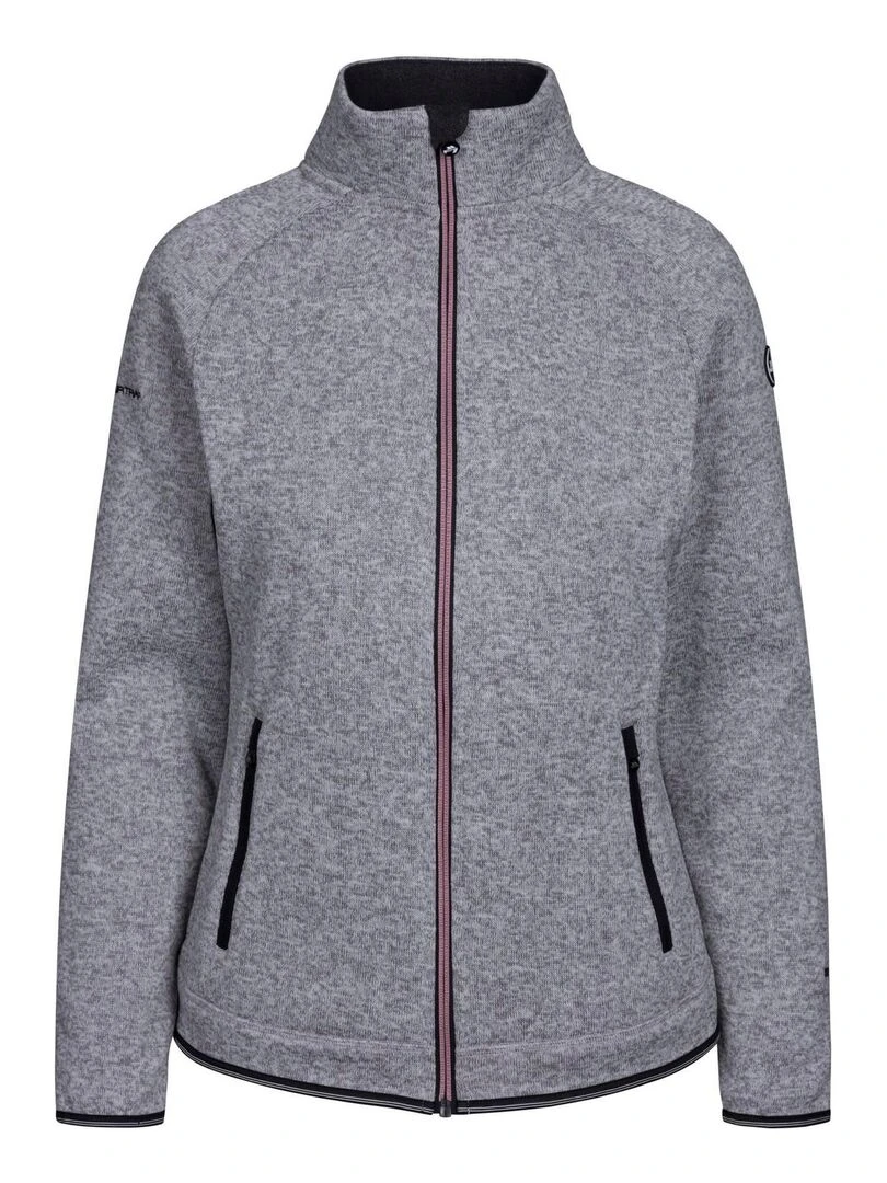 Trespass Veste polaire TODDY AT200 Gris chiné