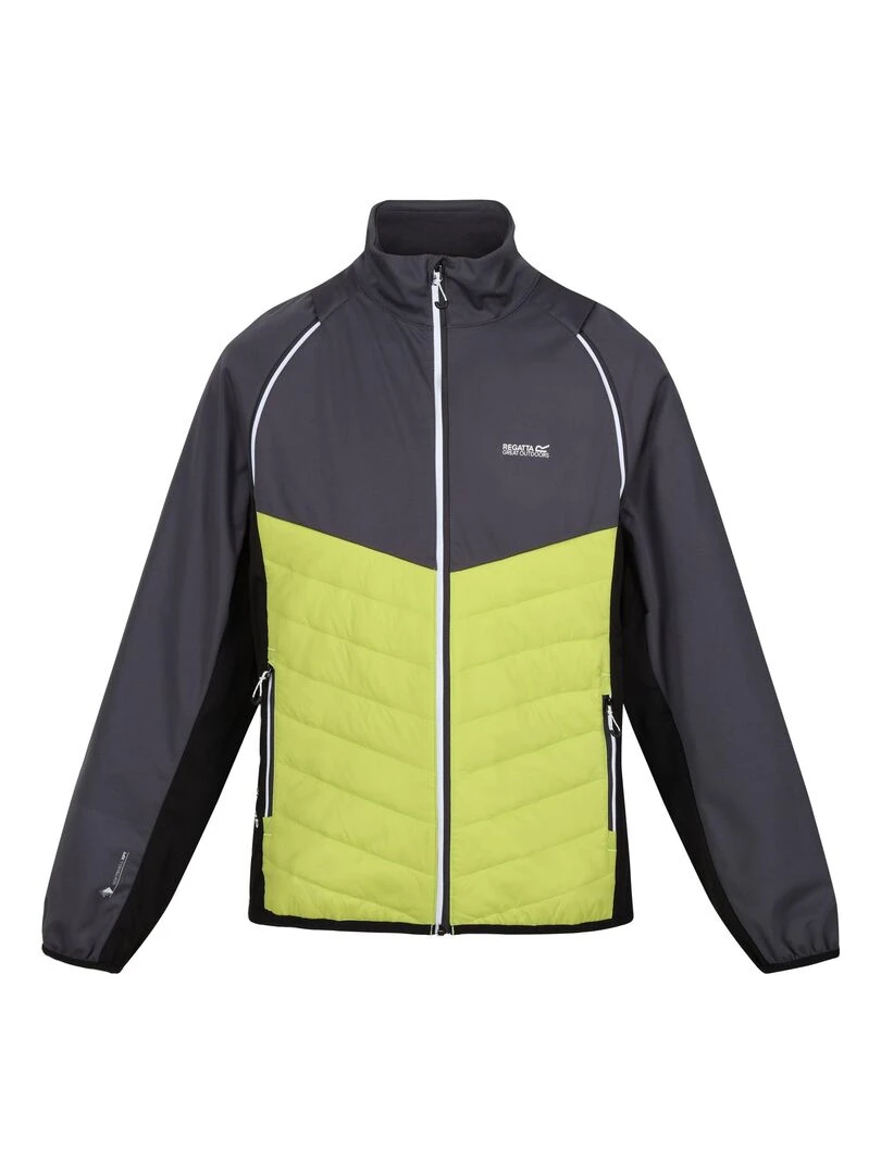 Regatta Veste softshell STEREN HYBRID Gris Vert Gris