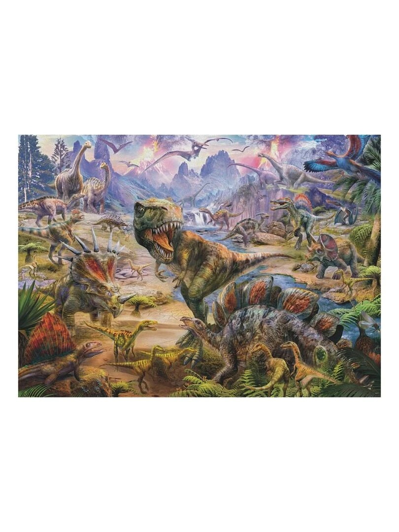 Puzzle 300 P Xxl Dinosaures Geants N/A