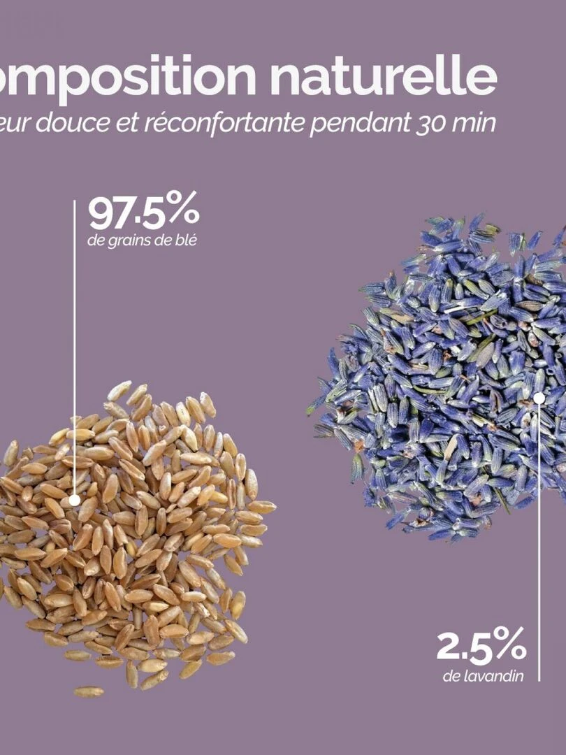 Bouillotte chauffante ou refroidissante déhoussable pour toutes parties du corps   Vivezen   Bleu