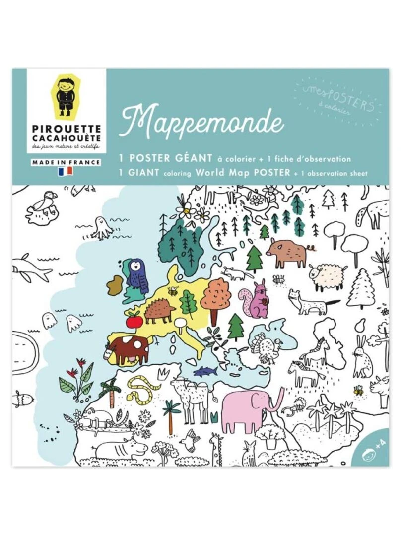 Poster Mappemonde N/A