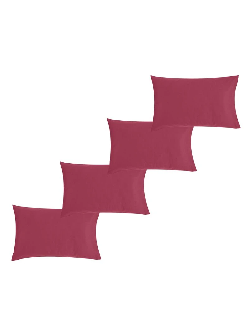 Lot x4 Taies d'oreiller 40x60 cm 100% coton Bio 'Ptit Basile' Violet prune