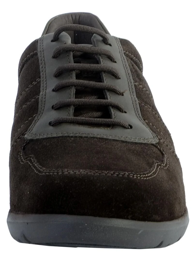 Basket Cuir Geox U Leitan   Marron