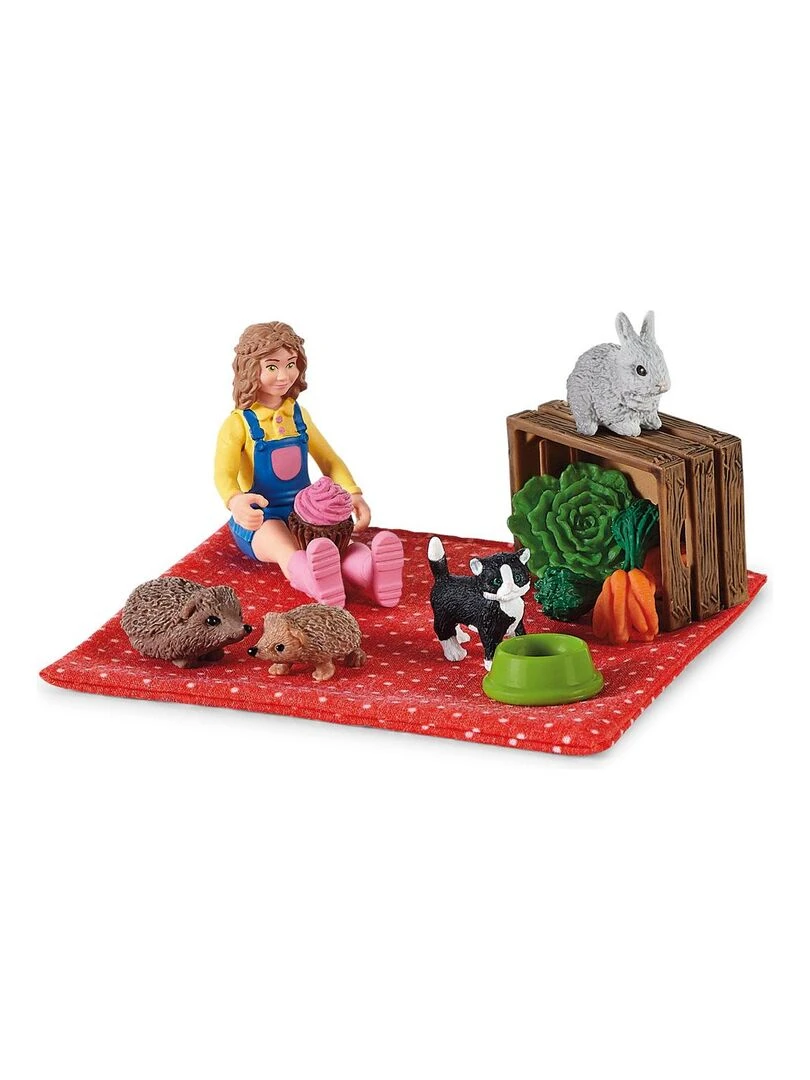 Picnic with the little pets   N/A