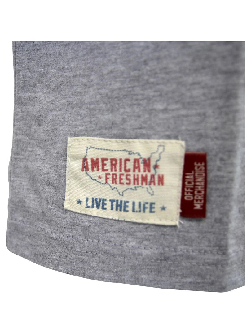 T shirt coton 'American Freshman' 'Zach'   Gris