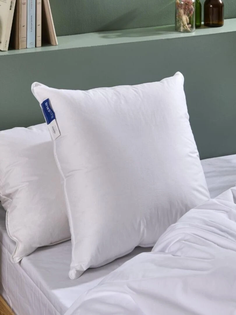Bleu Câlin Oreiller duvet moelleux 90% duvet canard Blanc