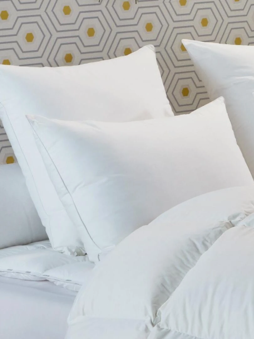 DODO Oreiller 30% duvet de canard Proneem FERME Blanc