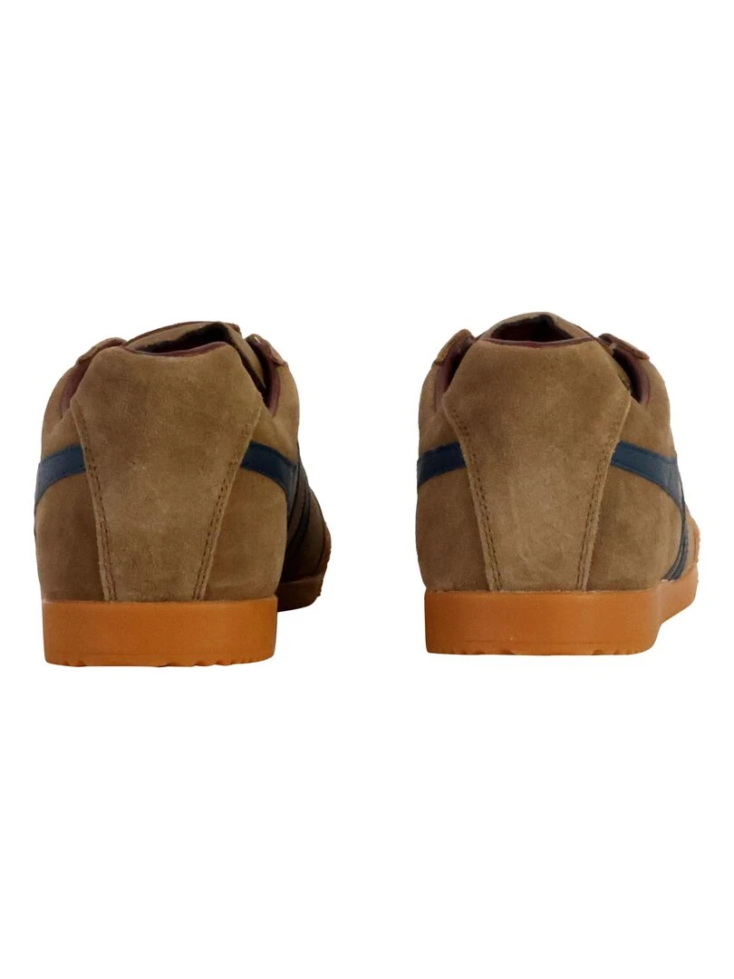 Basket Gola Harrier Suede   Marron