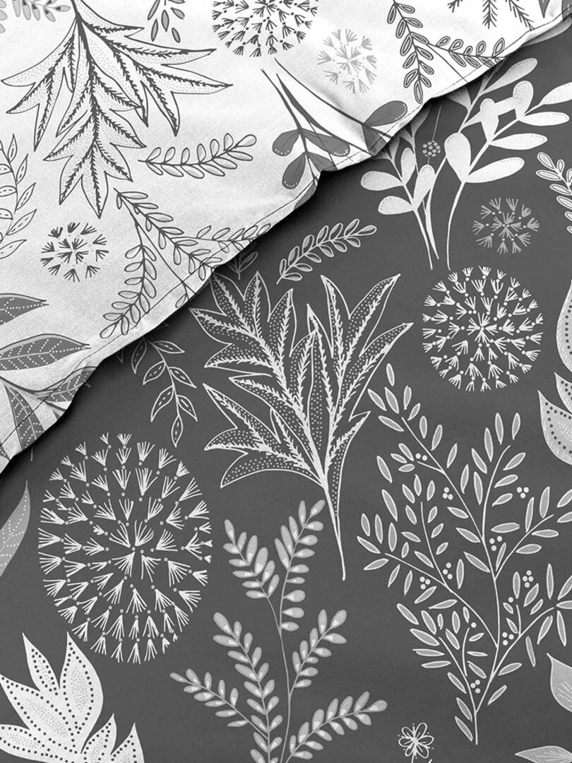 Housse de couette 240x220 + 2 taies Suzanne anthracite coton 52 fils Gris