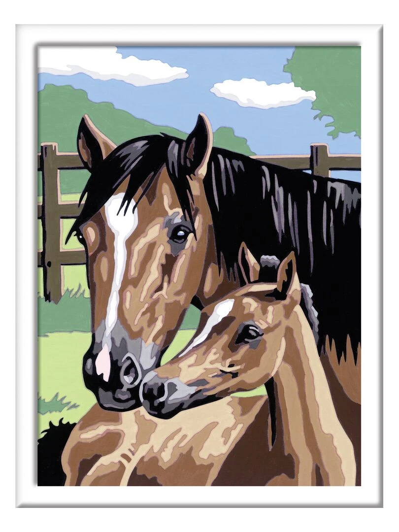 Peinture au numéro : Numéro d'Art lignes colorées : Tendresse   N/A