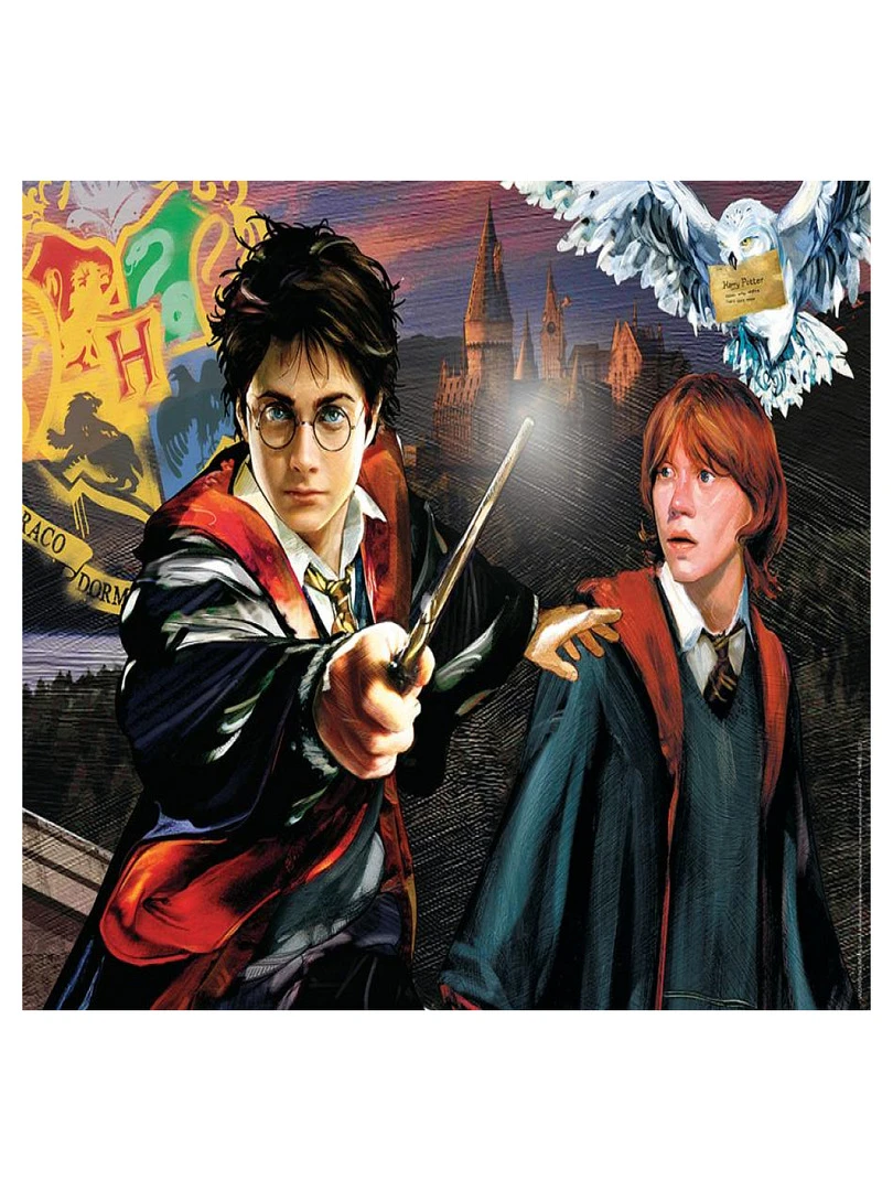 Puzzle 150 P Harry Potter Et Ron Weasley N/A