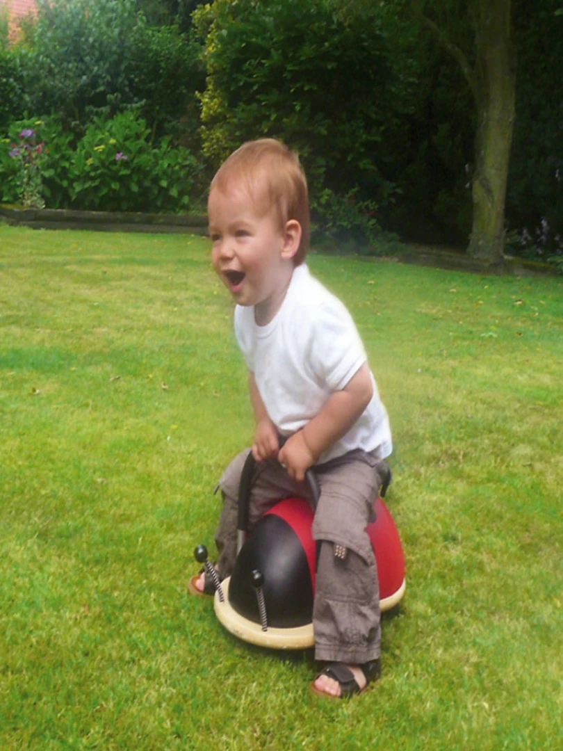 Porteur Wheely Bug Coccinelle (grand Modèle)   N/A