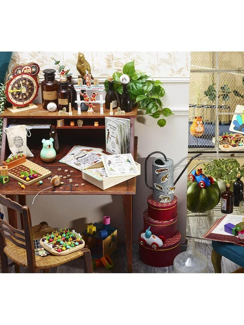 Loto zoologique de Buffon   Muséum national d'Histoire naturelle   N/A