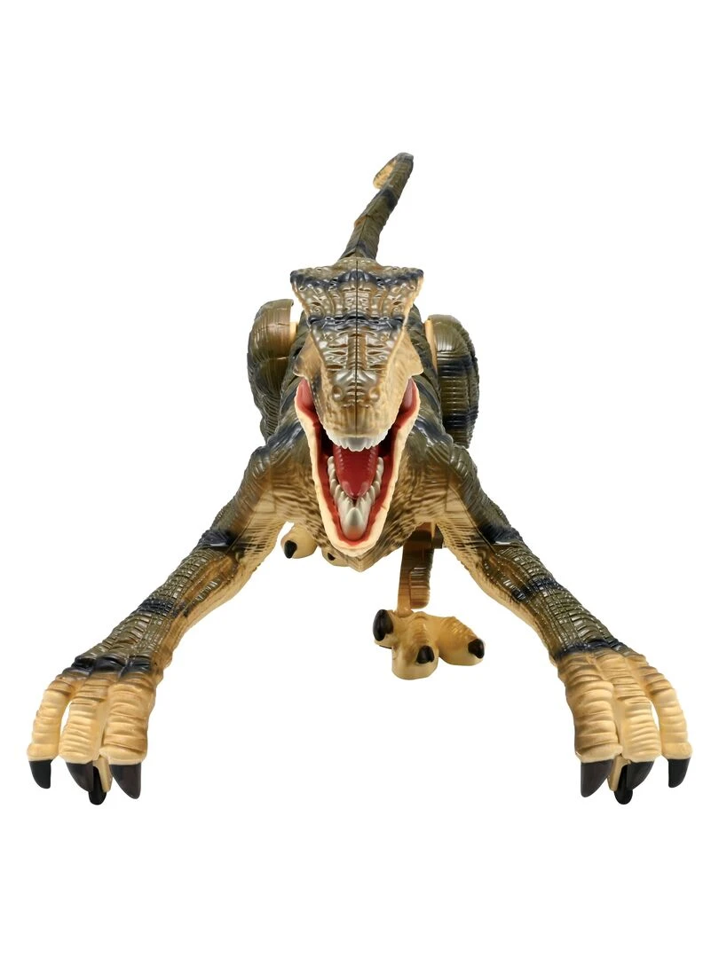 Rc Velociraptor Dinosaure De Simulation Télécommandé Avec Effets Sonores Réalistes   N/A