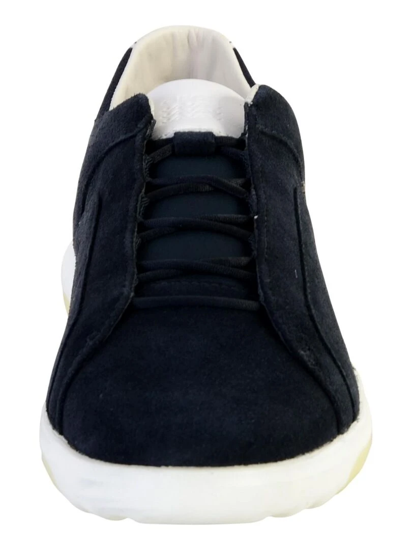 Basket Geox U Nexside A   Bleu