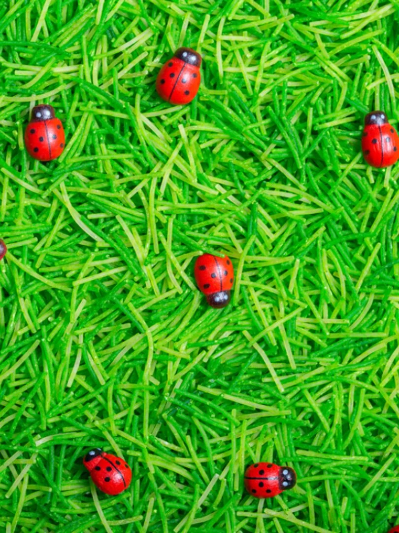 Bouteille Sensorielle Sound Coccinelles   N/A