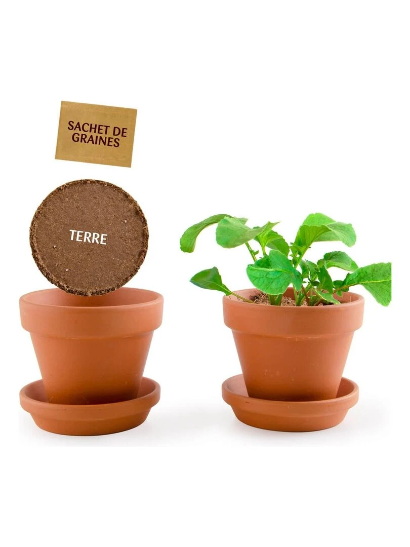 Kit jardinage : Radis Bio   N/A