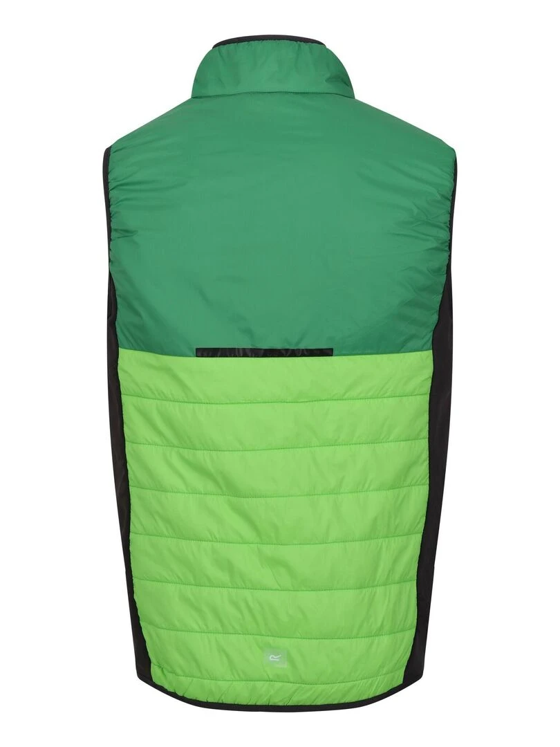 Regatta Veste sans manches HALTON Vert clair