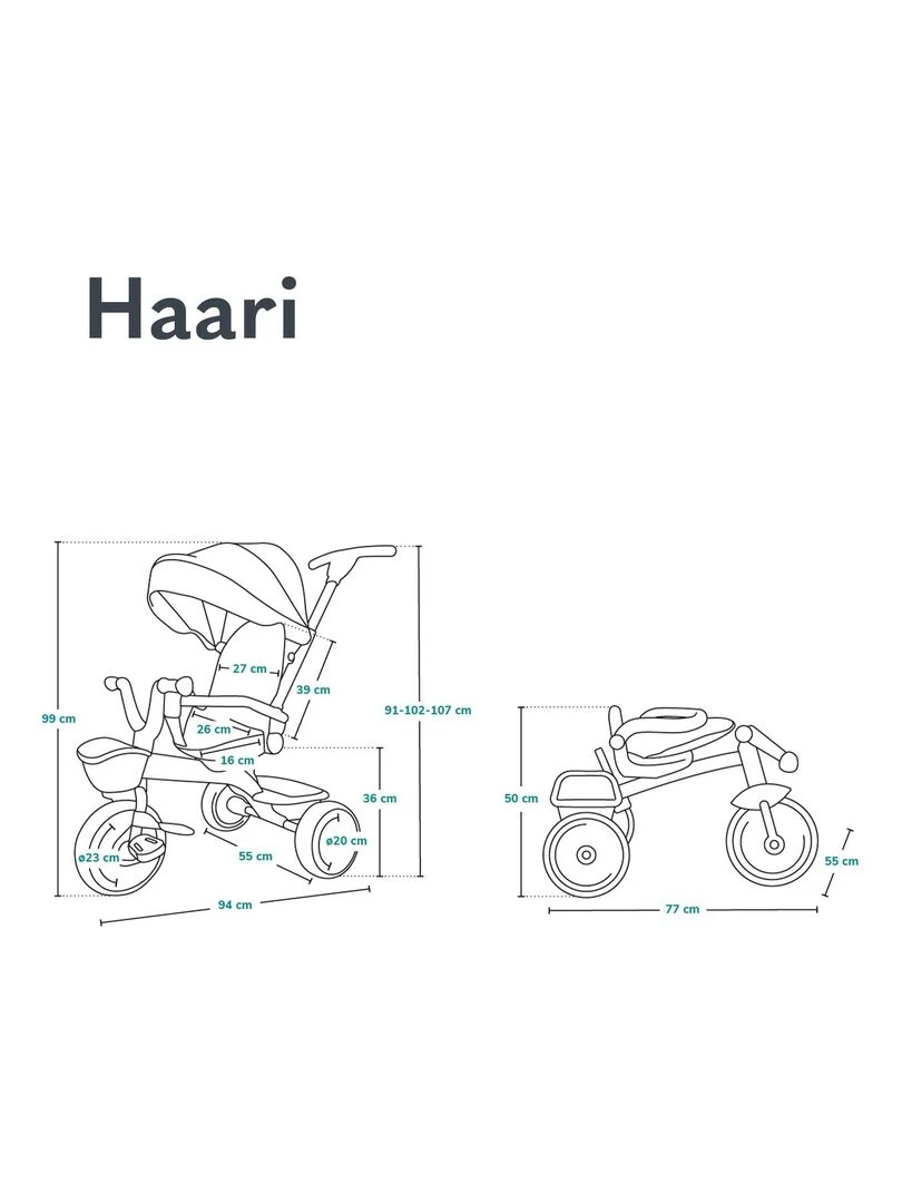 LIONELO Haari   Tricycle bébé évolutif   Jusqu'à 25 Kg   Siège réversible   Panier Sac   Rose