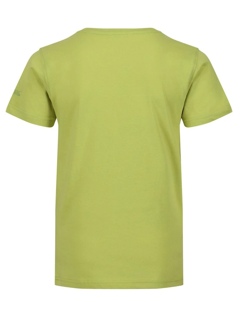 Regatta T shirt BOSLEY Vert