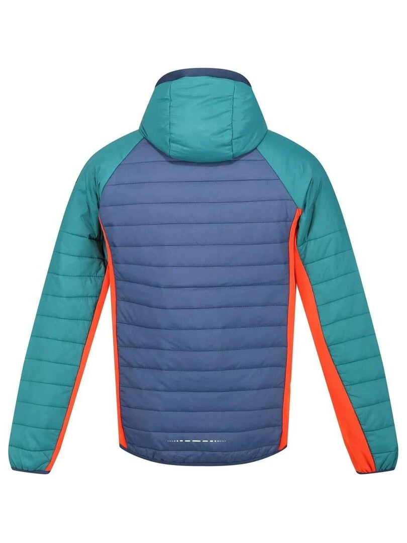Regatta Veste softshell TRUTTON Bleu Rouge