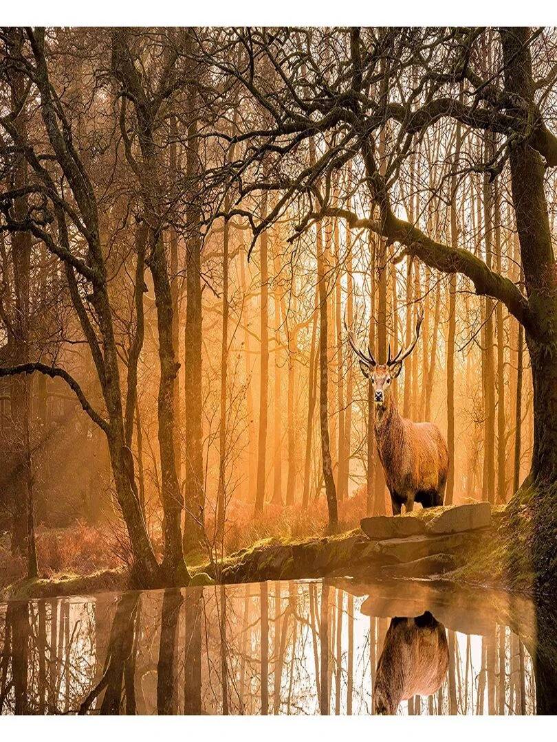 Peace Puzzle 500 pièces Rustling Silence N/A