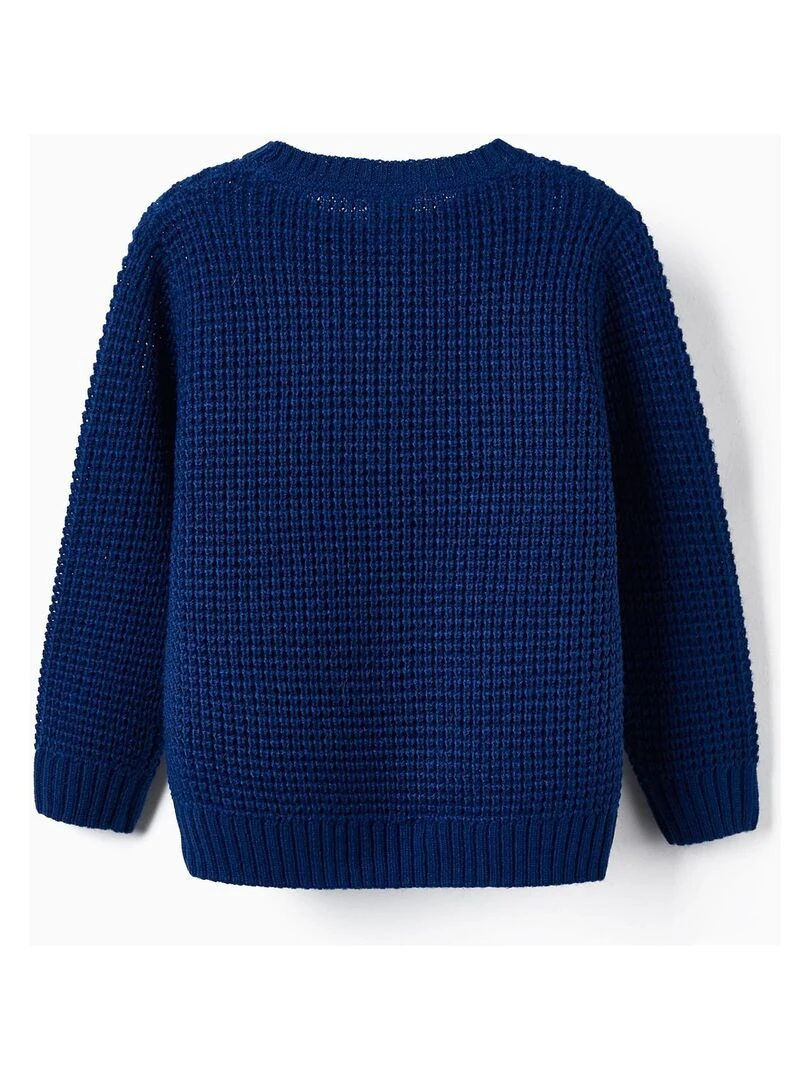 Pull en Maille Tricotée pour Garçon LITERATURE CLUB Bleu
