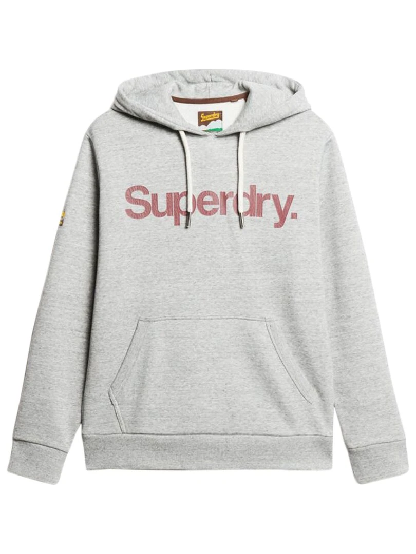 Sweat à Capuche Superdry Core Logo Classic Hoodie Gris