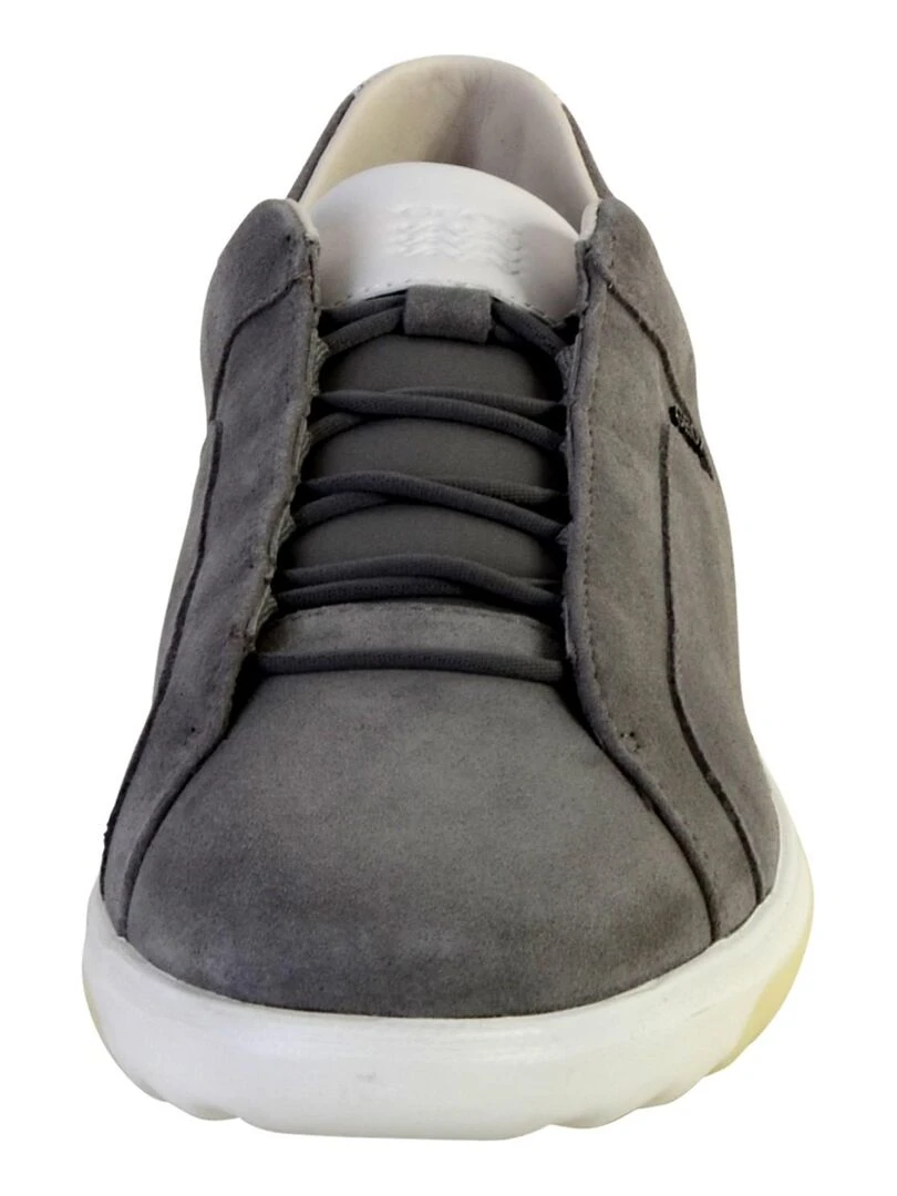 Basket Geox U Nexside A   Gris