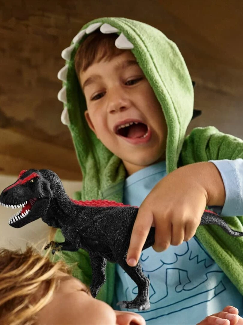 Dinosaurs T Rex Noir   N/A